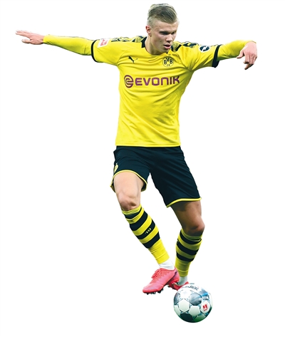 明数据报表 明数据报表